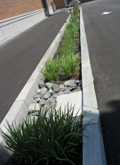 Kinney Drugs, Syracuse, NY - Bioretention System