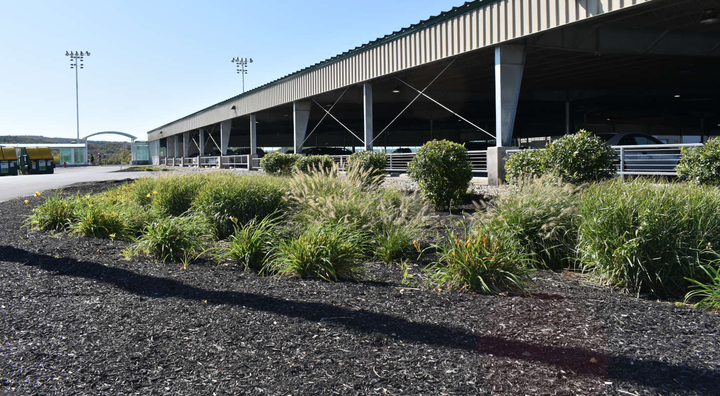  Vernon Downs Biorentention